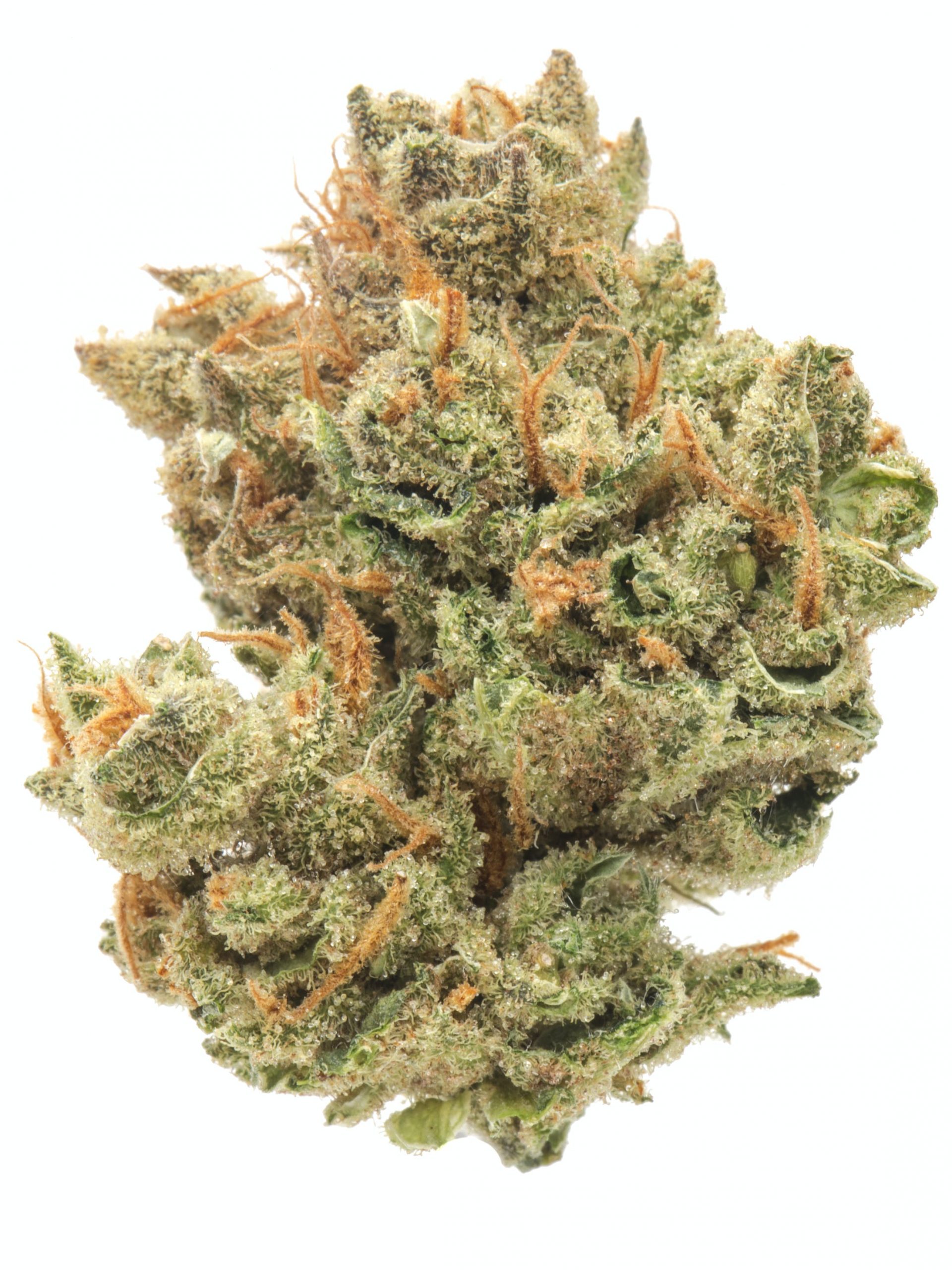 Buy Super Lemon Haze Online