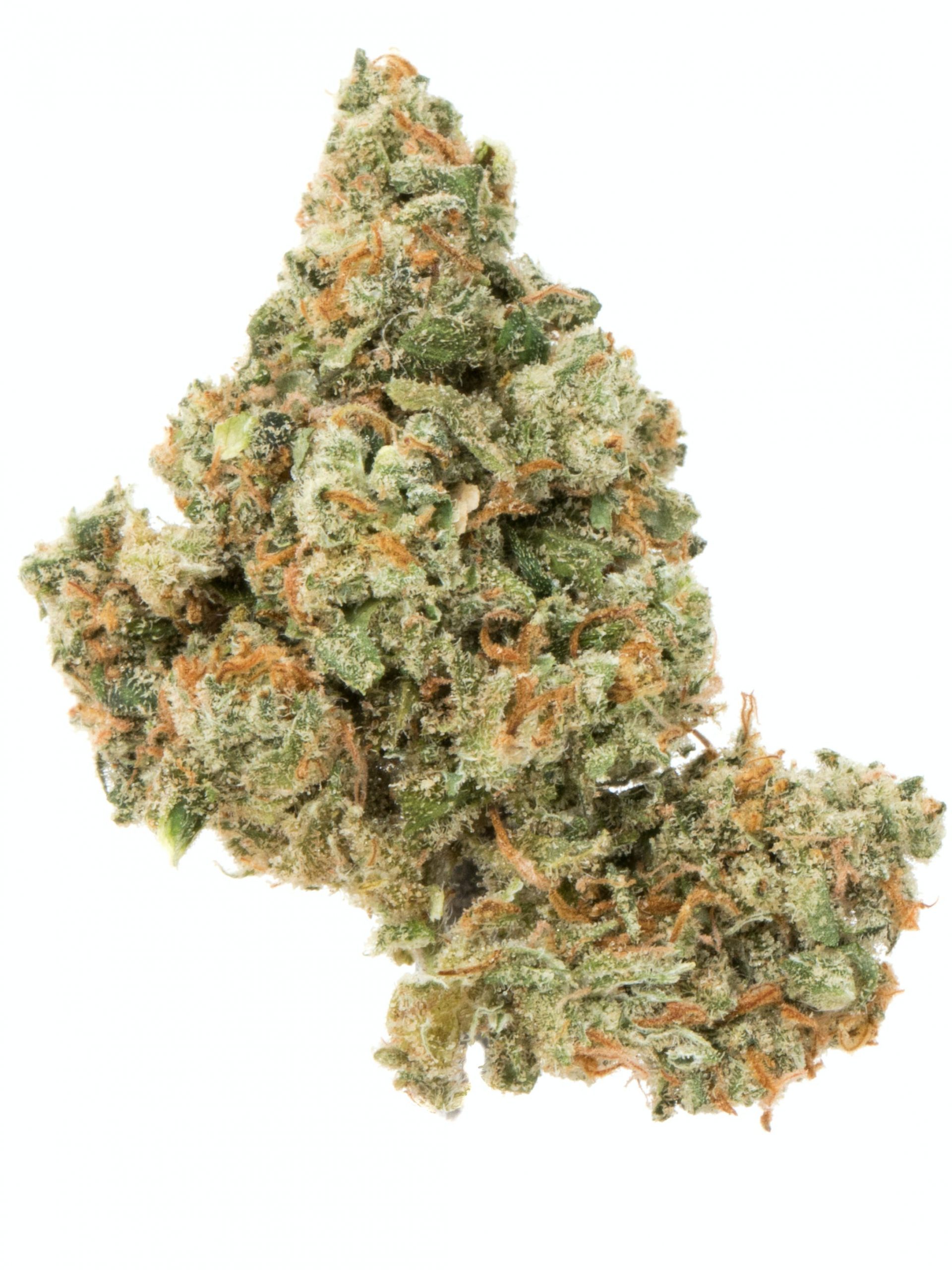 Buy Jack Herer Strain