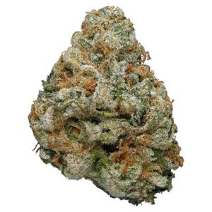 Buy Candyland Strain