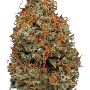 Buy Liberty Haze Strain