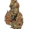 Buy Panama Red Strain