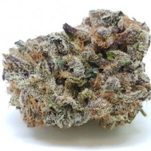 Buy Purple Crack Strain Online