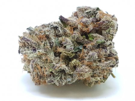 Buy Purple Crack Strain Online