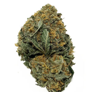 Buy Querkle Kush Online