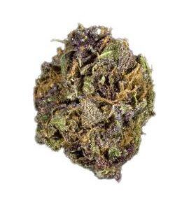 Buy Sleestack Kush Strain