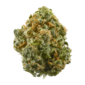 Buy blue dream Strain