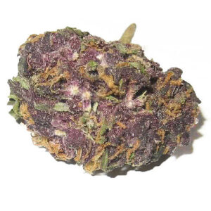 Buy Grand Daddy Purple Strain